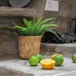 Anerousses 아다마스